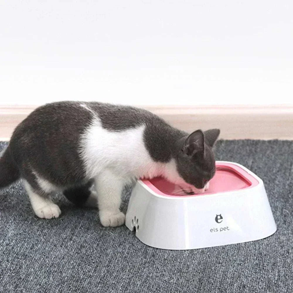 Cat drinking from a pink non-spill dog water bowl, designed to prevent spills and keep pet fur dry.